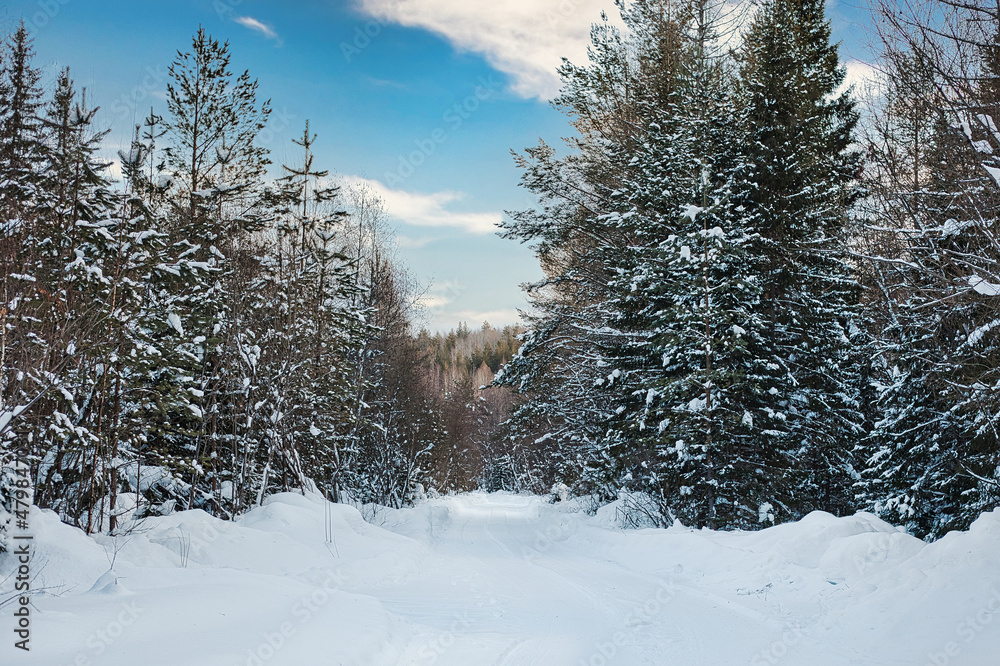 Obraz premium Winter road in the forest