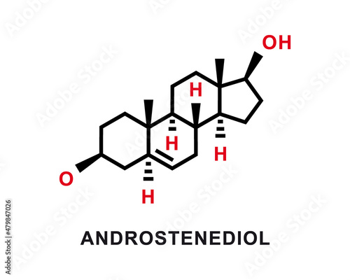 Androstenediol chemical formula. Androstenediol chemical molecular structure. Vector illustration