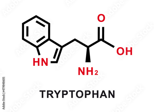 Tryptophan chemical formula. Tryptophan chemical molecular structure Vector illustration