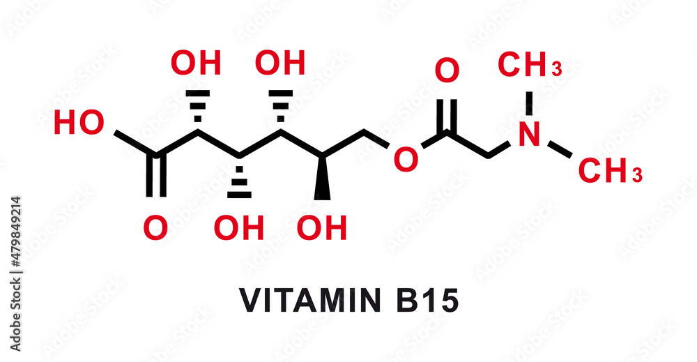 Vitamin B15 chemical formula. Vitamin B15 chemical molecular structure. Vector illustration Vitamin B15 chemical formula. Vitamin B15 chemical molecular structure. Vector illustration