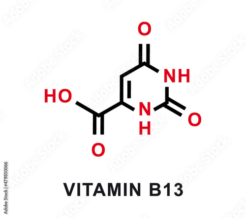 Vitamin B13 chemical formula. Vitamin B13 chemical molecular structure. Vector illustration