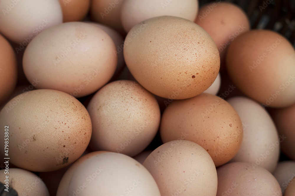 farm bio eggs in a basket with close up farm bio eggs in a basket with close up