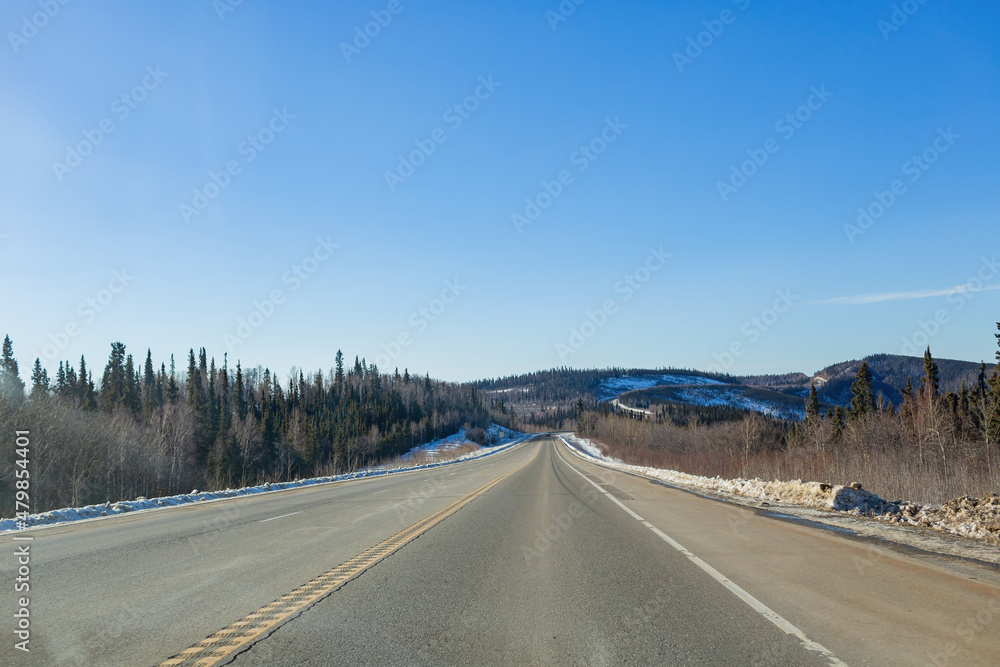 Afternoon landscape in Denali National Park and Preserve