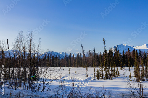 Sunny snowy view of the Denali State Park with Mount McKinley