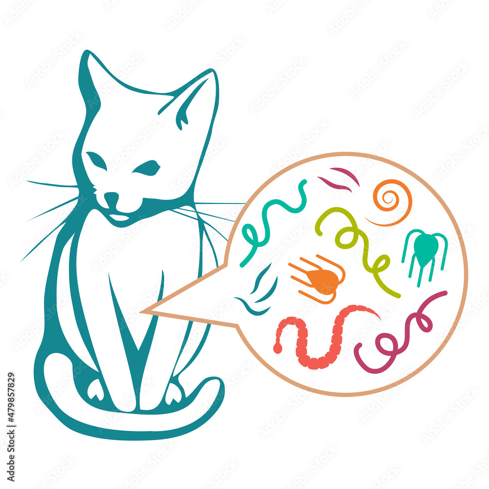 Types Of Cat And Dog Parasites Intestinal Worm Stock Vector Adobe Stock