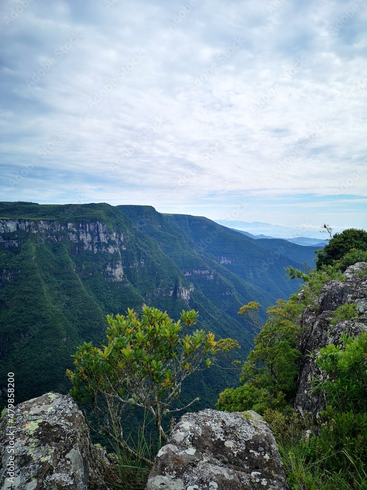 Fototapeta premium landscape with blue sky