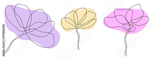 Simple line art spring flowers peonies lily magnolia for logo decor invitation . Vector illustration