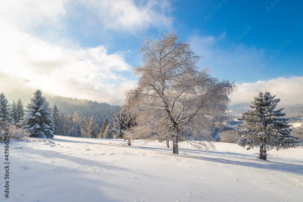 Winter landscape with snowy trees and mountains at sunny day. The Mala Fatra national park in northwest of Slovakia, Europe.