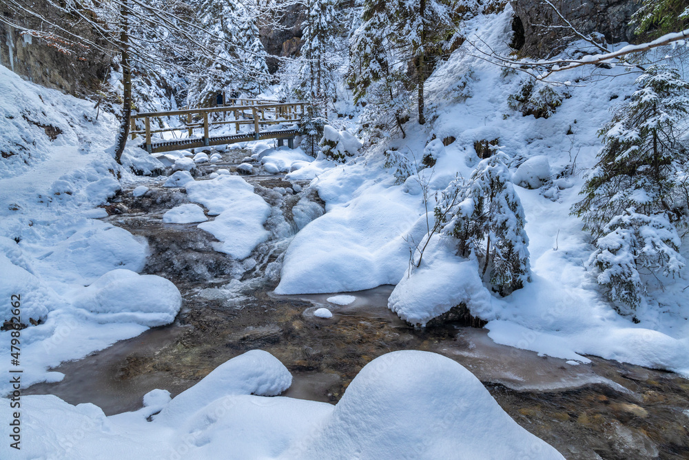Snowy winter landscape with a wooden bridge on tourist trail through a narrow gorge with wild stream. The Mala Fatra national park in Slovakia, Europe. Snowy winter landscape with a wooden bridge on tourist trail through a narrow gorge with wild stream. The Mala Fatra national park in Slovakia, Europe.