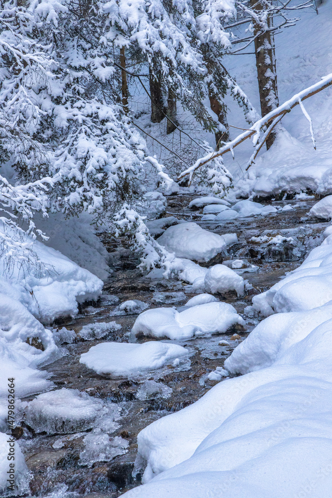 Snowy winter landscape with a wild stream. The Mala Fatra national park in Slovakia, Europe. Snowy winter landscape with a wild stream. The Mala Fatra national park in Slovakia, Europe.