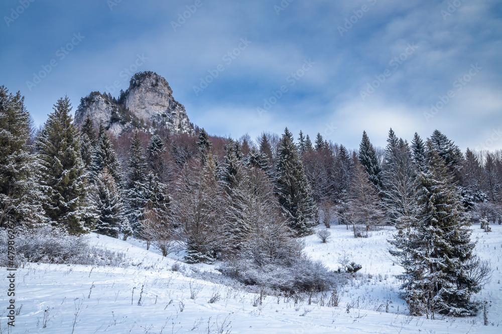 Winter landscape with snowy trees and rocky mountain. The Mala Fatra national park in northwest of Slovakia, Europe.
