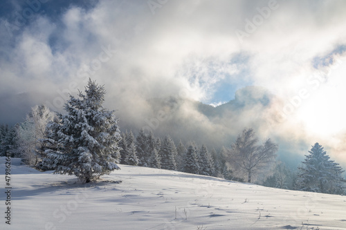 Winter landscape with snowy trees and mountains at sunny day. The Mala Fatra national park in northwest of Slovakia, Europe. © Viliam