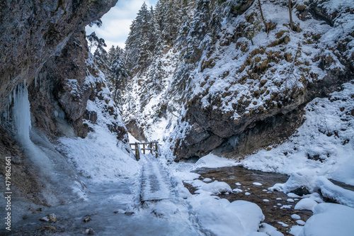 Snowy winter landscape with a wooden bridge on tourist trail through a narrow gorge with wild stream. The Mala Fatra national park in Slovakia, Europe. photo