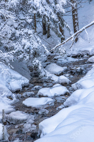 Snowy winter landscape with a wild stream. The Mala Fatra national park in Slovakia, Europe.