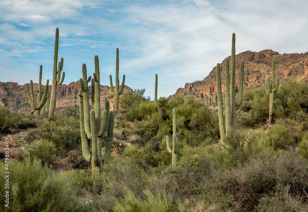 Superstition Mountains of Arizona