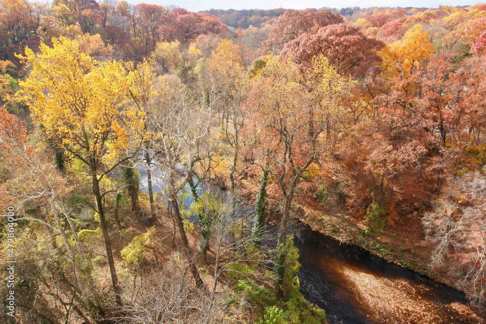 Rock creek in autumn foliage - Washington DC, United States Rock creek in autumn foliage - Washington DC, United States