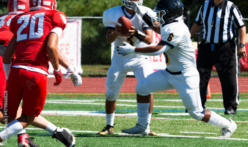 Photography Quarterback handing off to his running back during a football game
