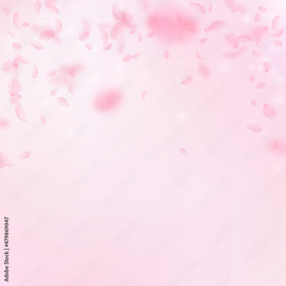 Sakura petals falling down. Romantic pink flowers falling rain. Flying petals on pink square background. Love, romance concept. Great wedding invitation.