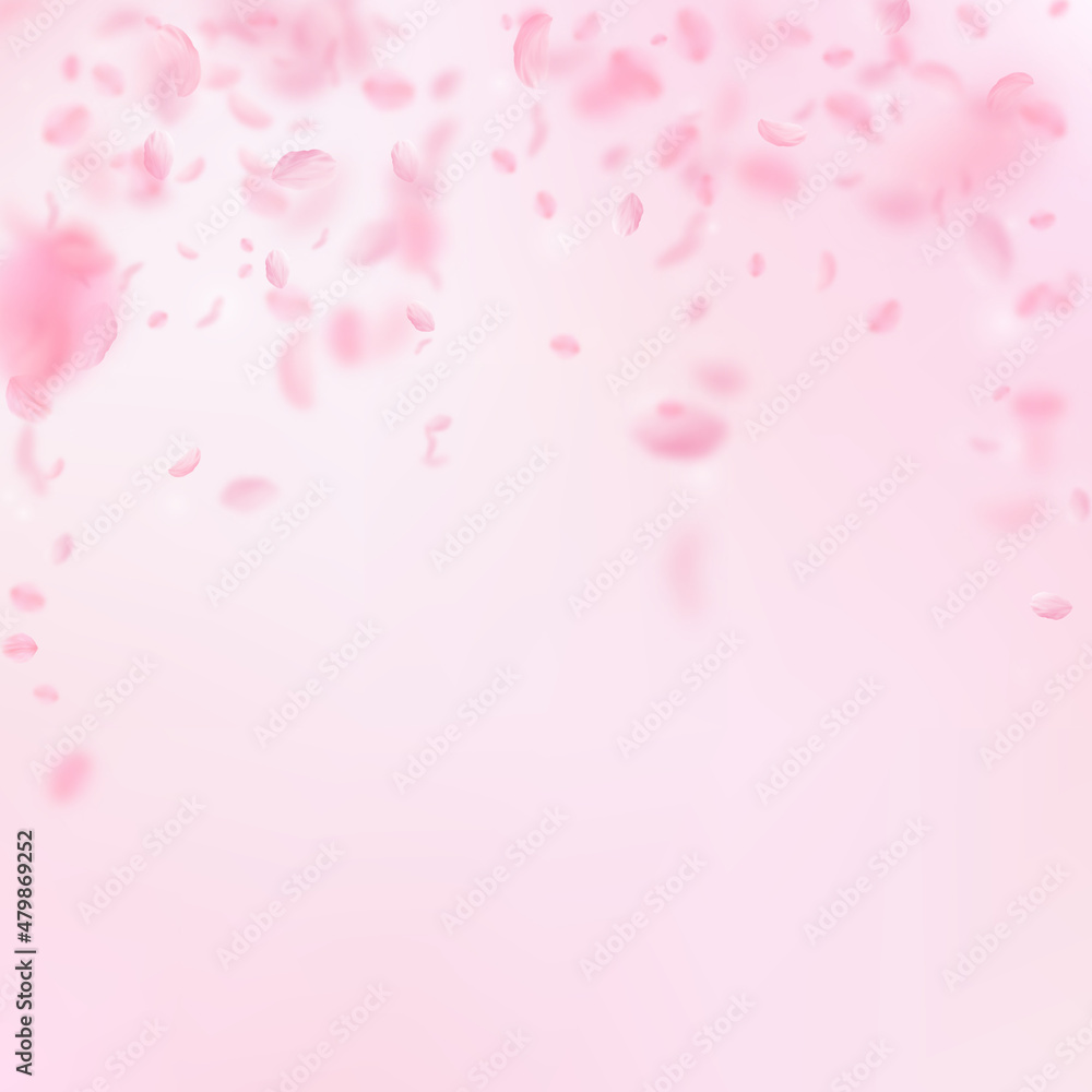 Sakura petals falling down. Romantic pink flowers falling rain. Flying petals on pink square background. Love, romance concept. Immaculate wedding invitation.