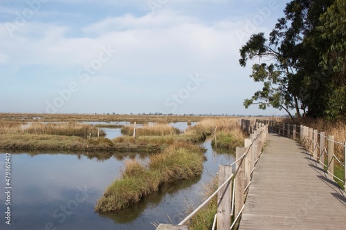 wooden bridge over the lake