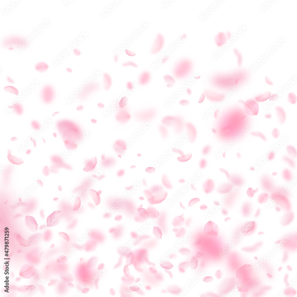 Sakura petals falling down. Romantic pink flowers gradient. Flying petals on white square background. Love, romance concept. Dazzling wedding invitation.