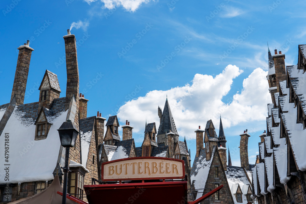 Naklejka premium Orlando, USA – July 17, 2021: The Hogsmeade at The Wizarding World Of Harry Potter in Adventure Island of Universal Studios Orlando. Universal Studios Orlando is a theme park in Orlando, Florida, USA.