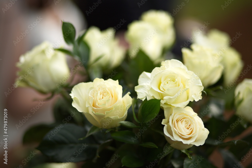 Roses handed out at a wedding reception and included in the bride's bouquet. Roses handed out at a wedding reception and included in the bride's bouquet.