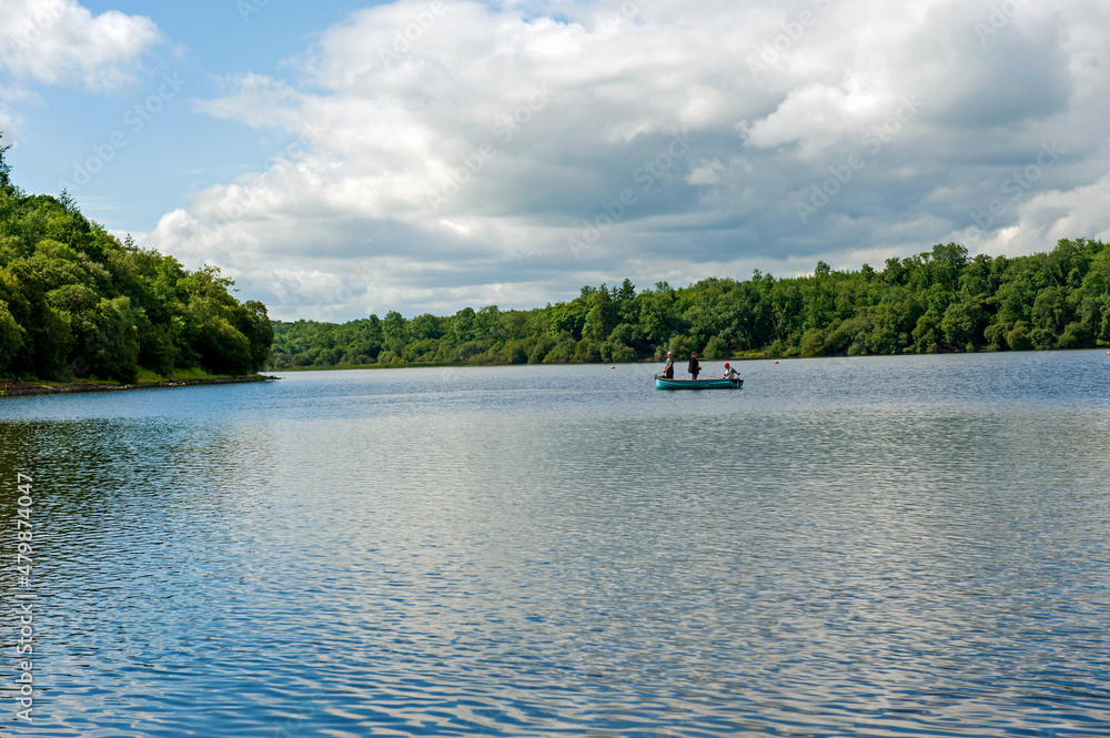 Fototapeta premium Killykeen forest park