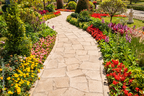 path leading through a garden photo
