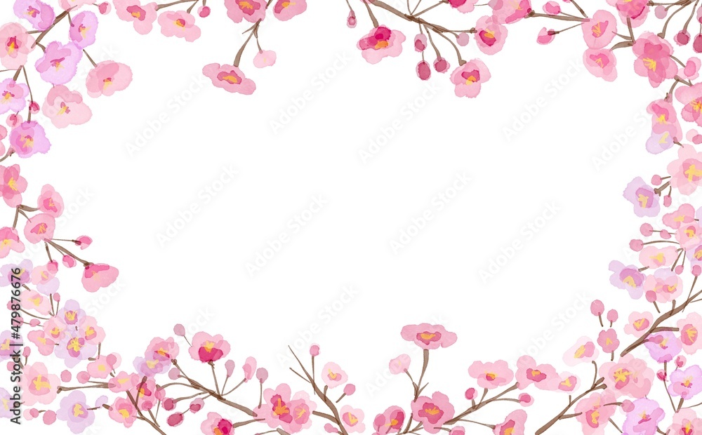 水彩画イラスト。春の桜背景。桜フレーム。枝つきの桜。Watercolor illustration. Spring cherry blossom background. Sakura frame. Cherry blossoms with branches.