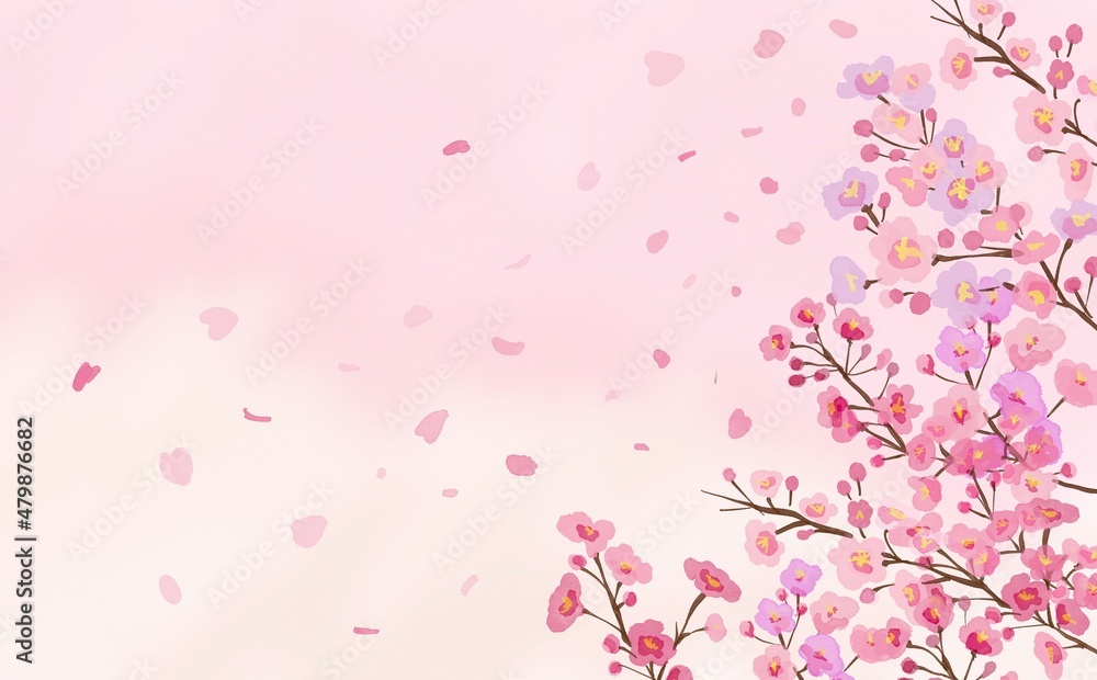 水彩画イラスト。満開の桜。ピンク色の桜背景。桜と舞う花びら。Watercolor illustration. Cherry tree in full bloom. Pink cherry blossom background. Petals dancing with cherry blossoms.