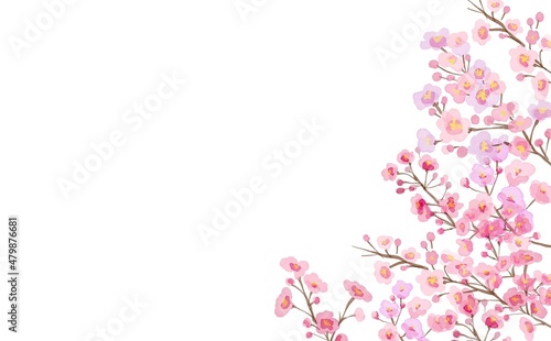 水彩画イラスト。春の桜背景。桜フレーム。枝つきの桜。Watercolor illustration. Spring cherry blossom background. Sakura frame. Cherry blossoms with branches.