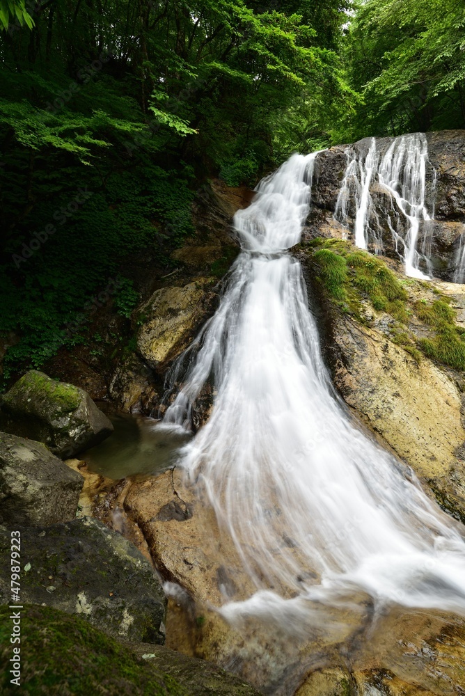trekking around waterfall in summer
