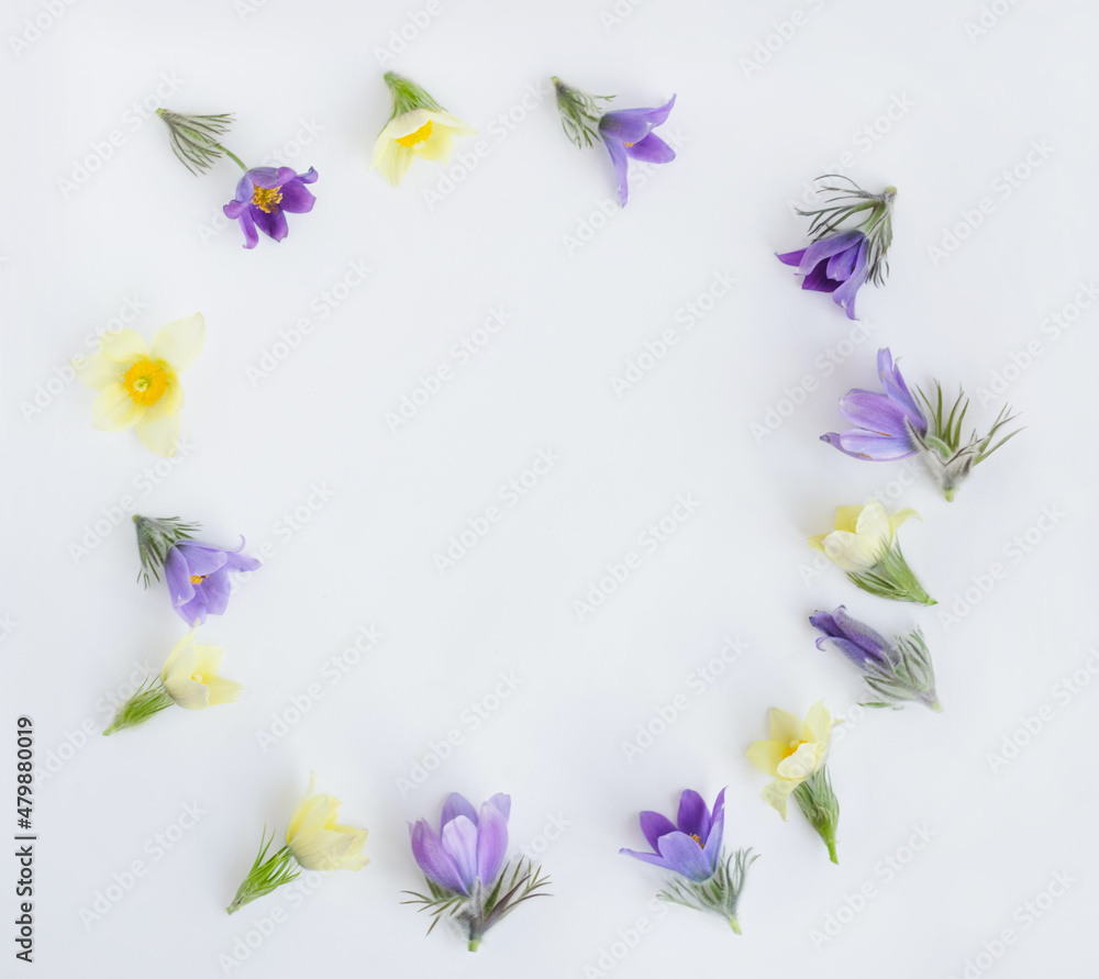 A round frame of spring colorful flowers, snowdrop or lumbago, light background. Festive spring flat composition