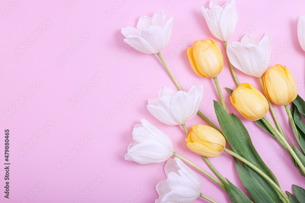 Bouquet of white tulips on pink background. Bouquet of white tulips on pink background.