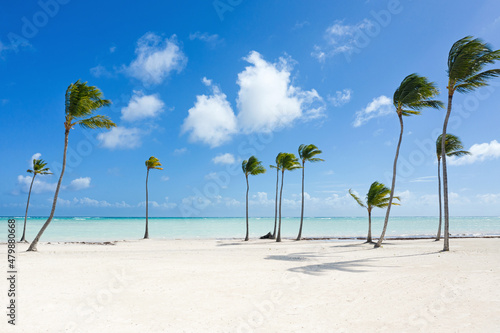 Juanillo beach with palm trees, white sand and turquoise caribbean sea. Cap Cana is a tourist area in Dominican Republic