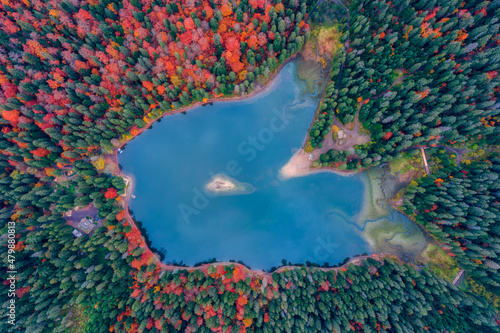 Aerial view Synevyr lake at autumn  photo