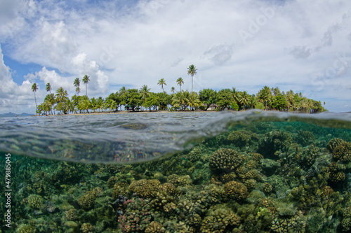 Raiatea polynesie francaise - motu (petit ilot ) dans le lagon de tahaa photo