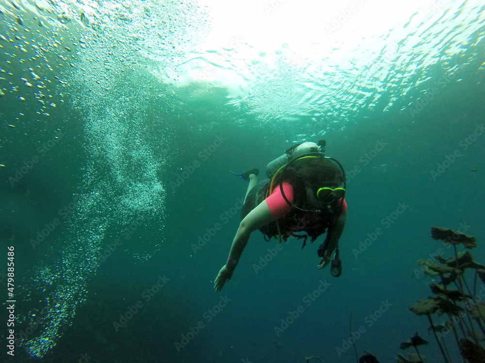 Young woman practices the sport scuba diving with oxygen tank equipment, visor, fins, relaxes and enjoys the bottom of the crystal clear water next to large branches and trunks
Young woman practices the sport scuba diving with oxygen tank equipment, visor, fins, relaxes and enjoys the bottom of the crystal clear water next to large branches and trunks