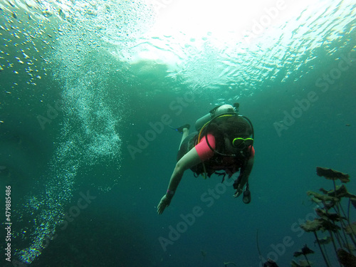 Young woman practices the sport scuba diving with oxygen tank equipment, visor, fins, relaxes and enjoys the bottom of the crystal clear water next to large branches and trunks 