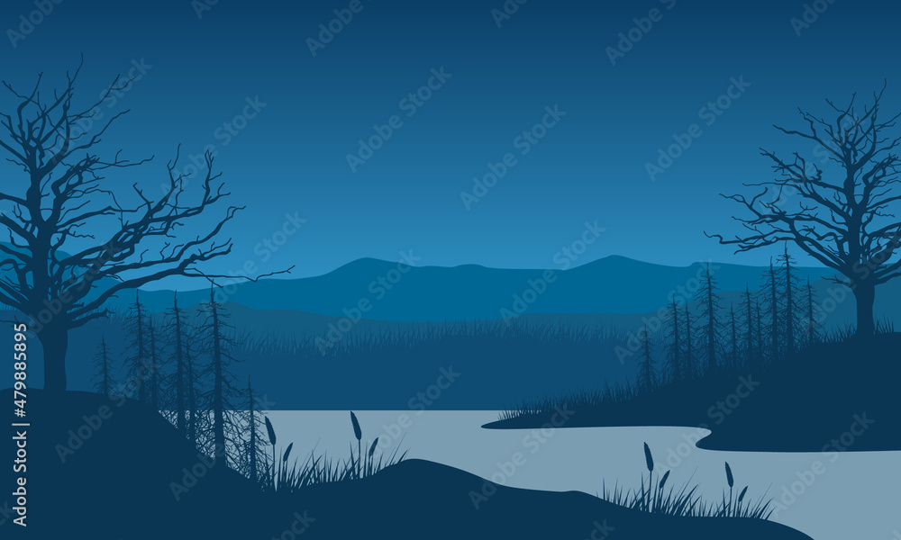 A beautiful mountain view with the silhouette of fir trees in the morning from the countryside