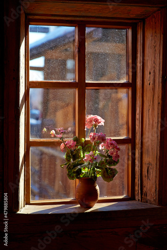 window with flowers in the window