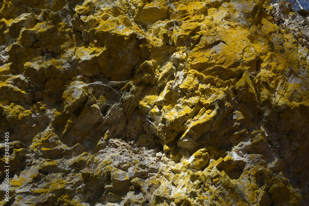 Yellow stone wall close up texture