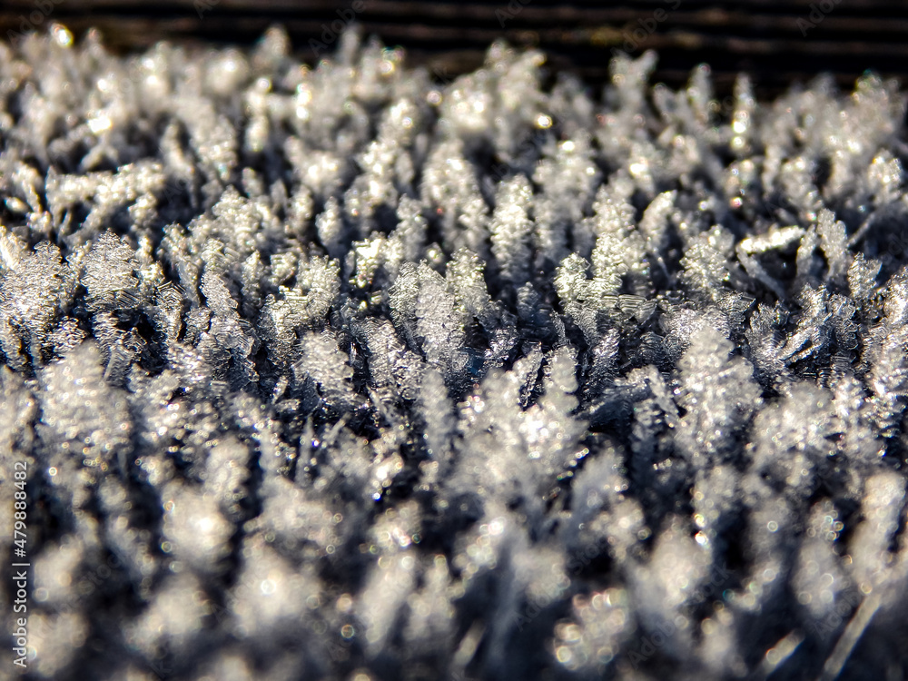 close up of a brush close up of a brush