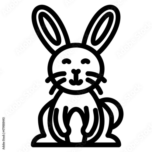 bunny