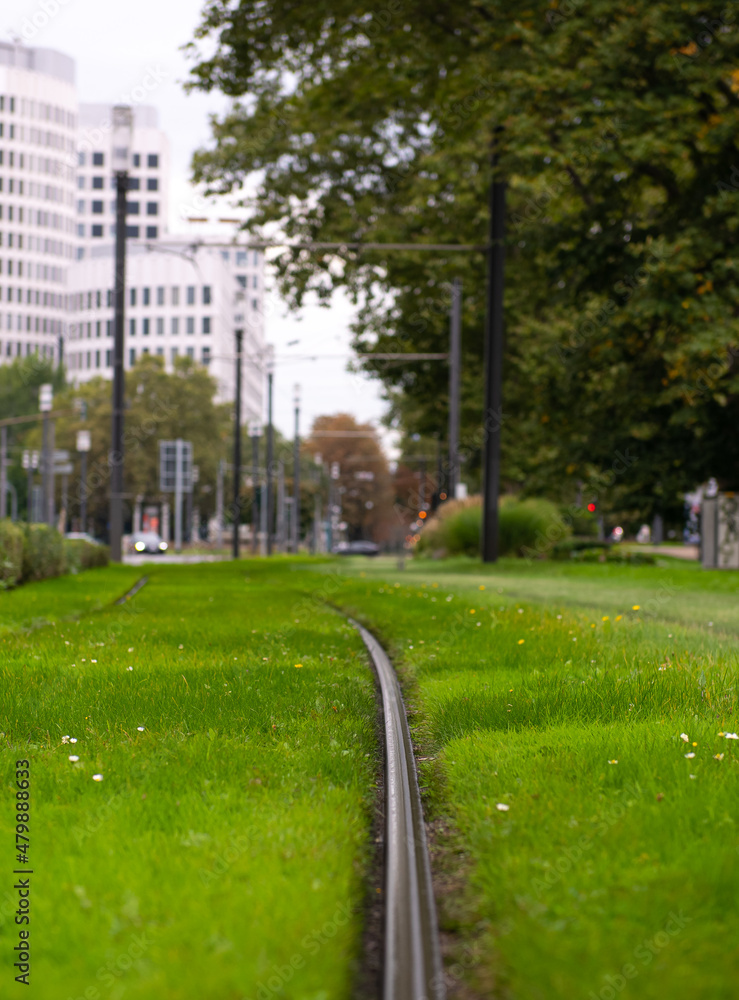 Green public transportation. Tram or train line with green grass planted between them, a way to reduce pollution.