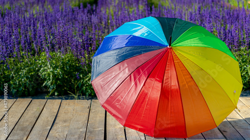 Selective focus of colourful rainbow umbrella on wooden plank, Salvia farinacea or Victoria blue (Mealy Cup Sage) flowers as background, The symbol of LGBTQ community, Worldwide social movements. photo