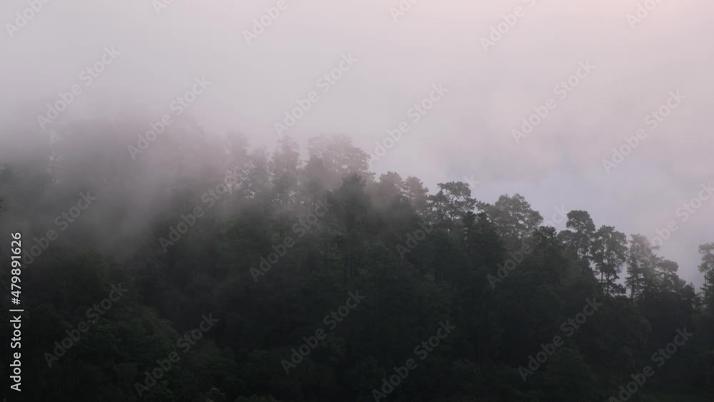 Landscape view of greenery rainforest mountains on foggy day Landscape view of greenery rainforest mountains on foggy day