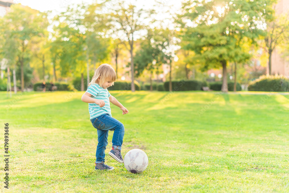 little boy playing with a ball on grass in park little boy playing with a ball on grass in park