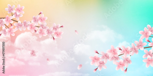 桜　春　花　背景